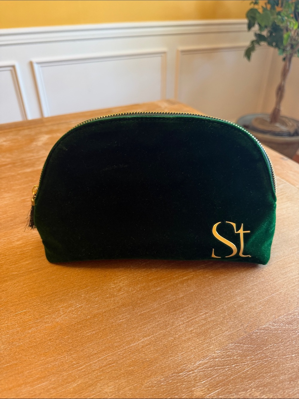 Seint NWOT Green Velvet Cosmetic Pouch